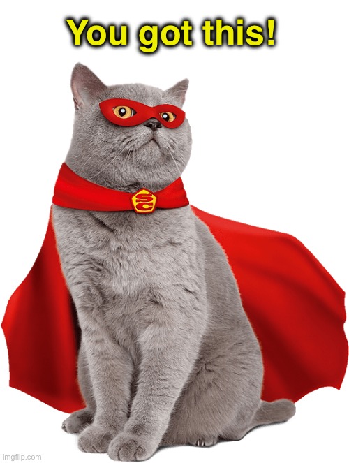 Super cat! | You got this! | image tagged in super cat | made w/ Imgflip meme maker