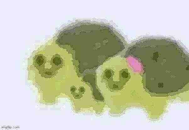 what was once a happy family. top 10 chilling horror stories that will make you shove a piranha up your ass | image tagged in low quality turtle family | made w/ Imgflip meme maker