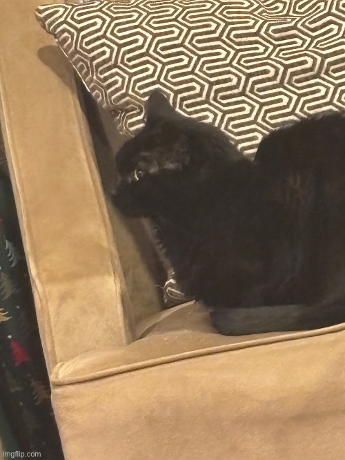 Update: she’s done watching | made w/ Imgflip meme maker