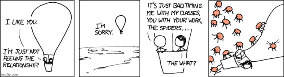 "Pro Tip: Even without the red spiders, never have that conversation halfway through a balloon ride." | image tagged in hot air balloon,conversation,bad time,red,spiders,uh oh | made w/ Imgflip meme maker