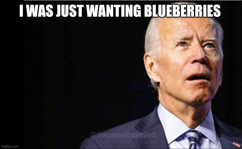 Joe Biden | I WAS JUST WANTING BLUEBERRIES | image tagged in joe biden | made w/ Imgflip meme maker