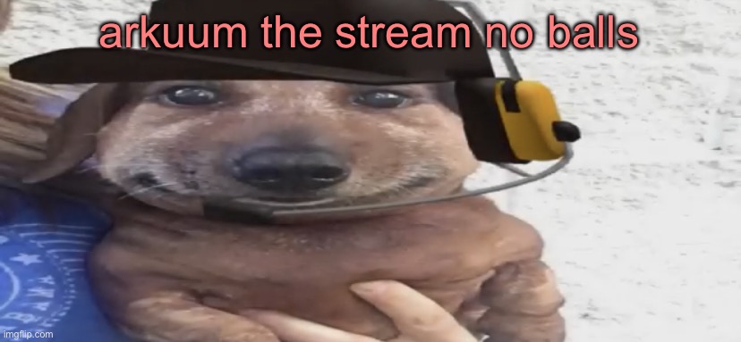 chucklenuts | arkuum the stream no balls | image tagged in chucklenuts | made w/ Imgflip meme maker