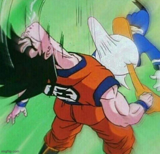 Donald solos Goku | image tagged in donald duck,goku,funny,wtf,penis,dragon ball z | made w/ Imgflip meme maker