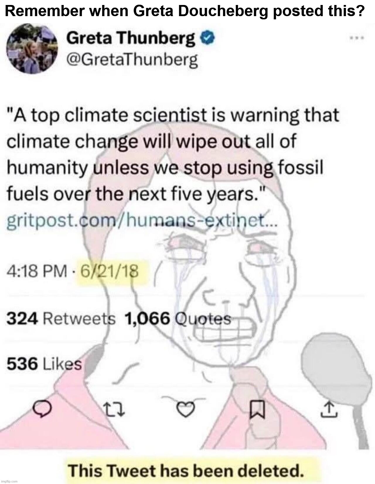 Remember when Greta Doucheberg posted this? | Remember when Greta Doucheberg posted this? | image tagged in greta thunberg how dare you,greta doucheberg,sjw triggered,stupid people be like,greta thunberg,douchebag | made w/ Imgflip meme maker
