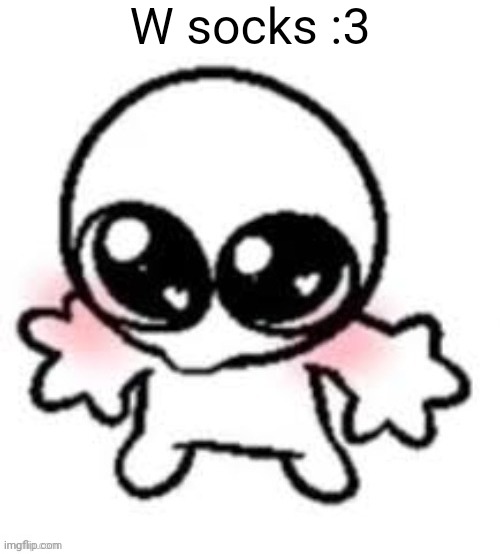 W socks :3 | made w/ Imgflip meme maker