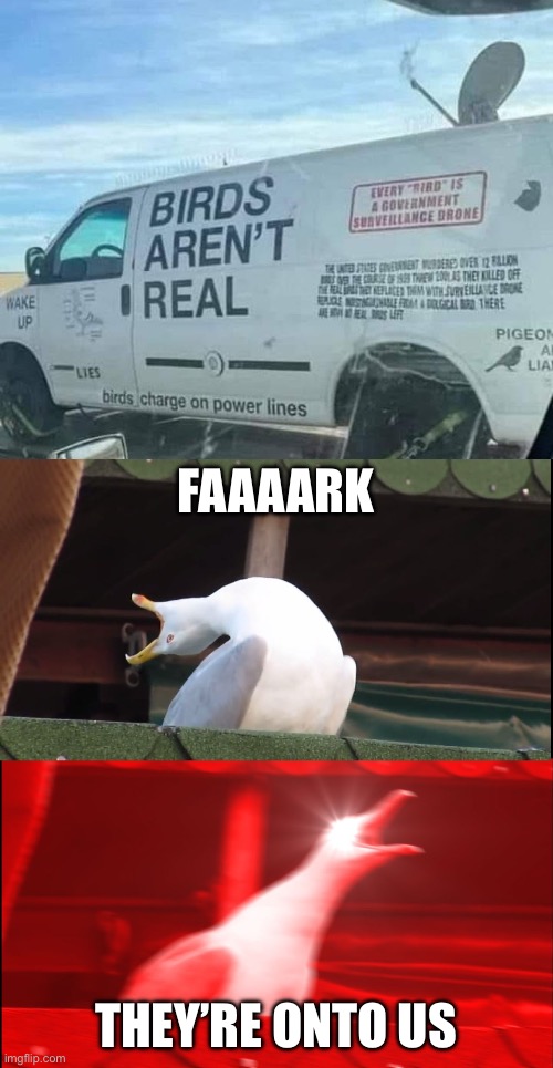 The conspiracy is real | FAAAARK; THEY’RE ONTO US | image tagged in screaming bird,conspiracy theory,birds,electricity | made w/ Imgflip meme maker