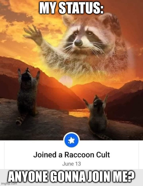 My cult | MY STATUS:; ANYONE GONNA JOIN ME? | image tagged in cult,status,raccoon | made w/ Imgflip meme maker