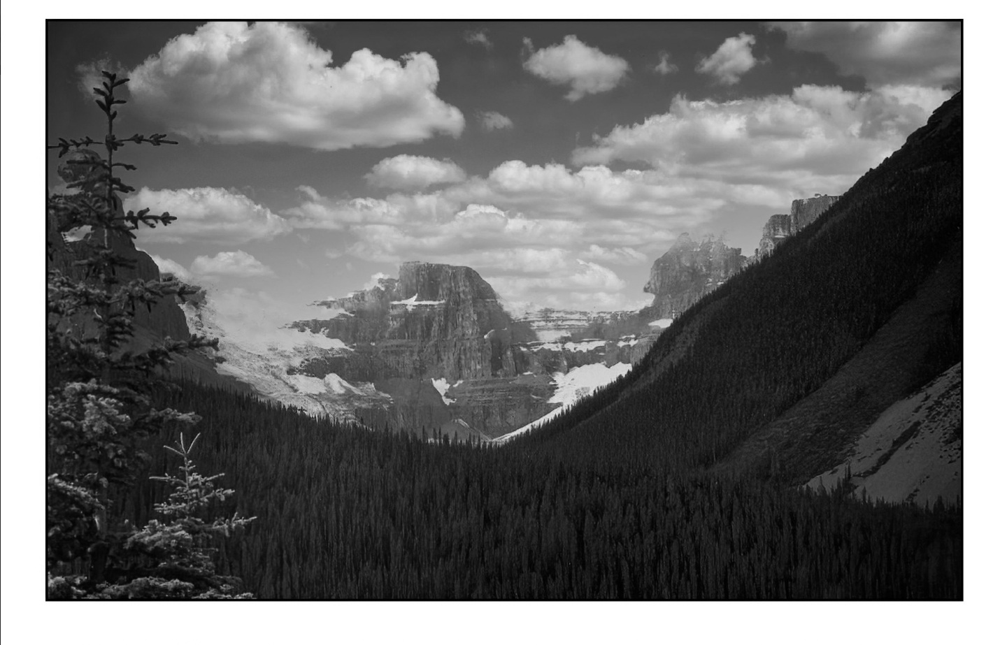 Nature. Blank Meme Template