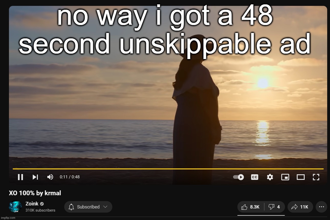 no way i got a 48 second unskippable ad | made w/ Imgflip meme maker