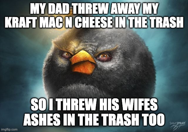 im angry | MY DAD THREW AWAY MY KRAFT MAC N CHEESE IN THE TRASH; SO I THREW HIS WIFES ASHES IN THE TRASH TOO | image tagged in angry birds bomb | made w/ Imgflip meme maker