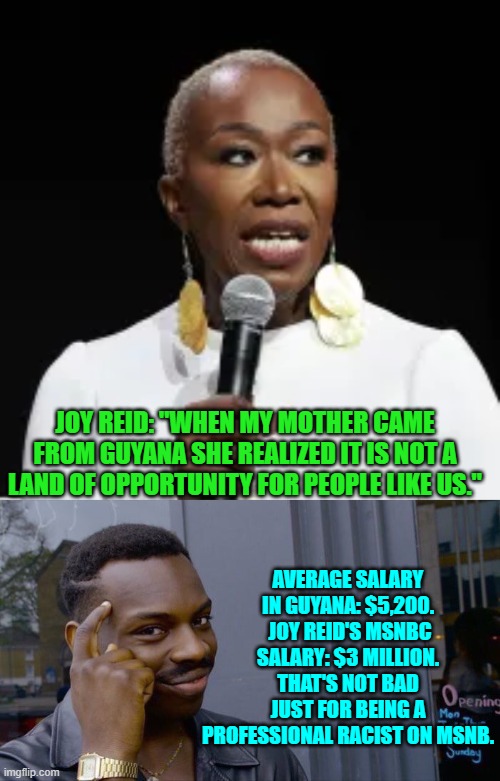 Lacking opportunity in the United States?  Bwahahahahahaha! | JOY REID: "WHEN MY MOTHER CAME FROM GUYANA SHE REALIZED IT IS NOT A LAND OF OPPORTUNITY FOR PEOPLE LIKE US."; AVERAGE SALARY IN GUYANA: $5,200.  JOY REID'S MSNBC SALARY: $3 MILLION. THAT'S NOT BAD JUST FOR BEING A PROFESSIONAL RACIST ON MSNB. | image tagged in roll safe think about it | made w/ Imgflip meme maker