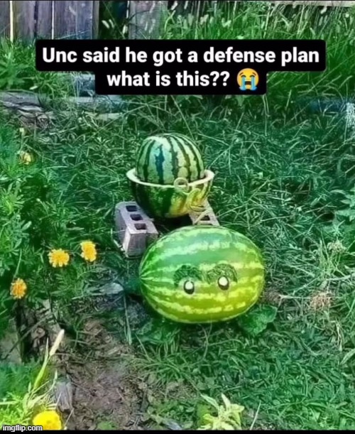 we making it out of 5-9 with this one | image tagged in plants vs zombies | made w/ Imgflip meme maker