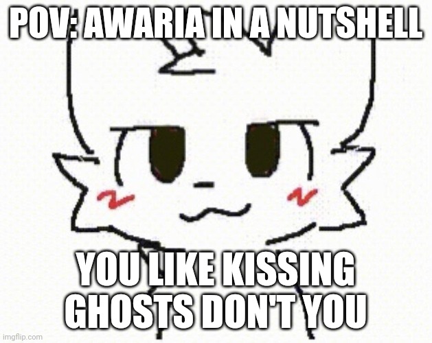 you like kissing boys | POV: AWARIA IN A NUTSHELL; YOU LIKE KISSING GHOSTS DON'T YOU | image tagged in you like kissing boys | made w/ Imgflip meme maker