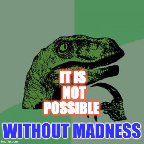 Philosoraptor | IT IS
 NOT POSSIBLE; WITHOUT MADNESS | image tagged in memes,philosoraptor | made w/ Imgflip meme maker