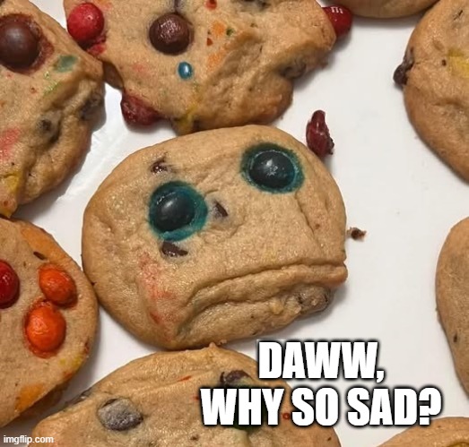 Sad Cookie | DAWW, WHY SO SAD? | image tagged in funny memes | made w/ Imgflip meme maker