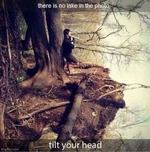 There is no lake in this pic | image tagged in lake,optical illusion,funny,memes | made w/ Imgflip meme maker