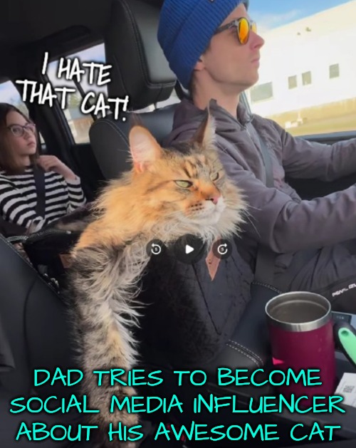 Dad Probably Didn't Even Notice His Daughter While Editing His Reel About His Stupid Cat | DAD TRIES TO BECOME SOCIAL MEDIA INFLUENCER ABOUT HIS AWESOME CAT | image tagged in social media,deadbeat dad | made w/ Imgflip meme maker