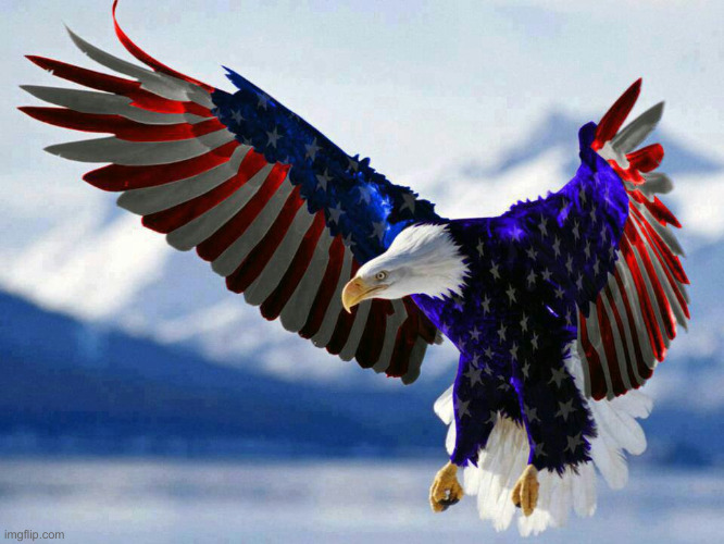 Fly Like An Eagle, Til I'm Free ! We Are Winning | image tagged in patriotic flag eagle in red white and blue,political meme,politics,funny memes,funny | made w/ Imgflip meme maker