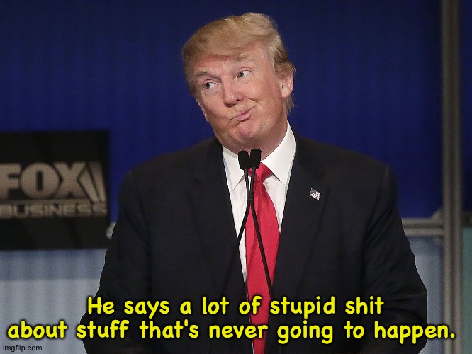 stupid donald trump pressumptive American President Hi-Rez | He says a lot of stupid shit about stuff that's never going to happen. | image tagged in stupid donald trump pressumptive american president hi-rez | made w/ Imgflip meme maker