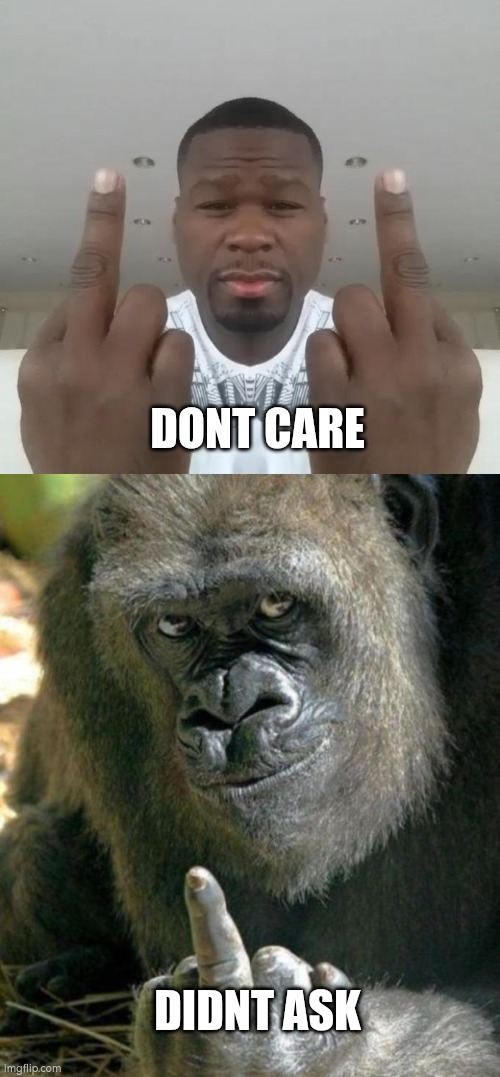 DONT CARE DIDNT ASK | image tagged in don't care didn't ask plus you're,gorilla middle finger | made w/ Imgflip meme maker