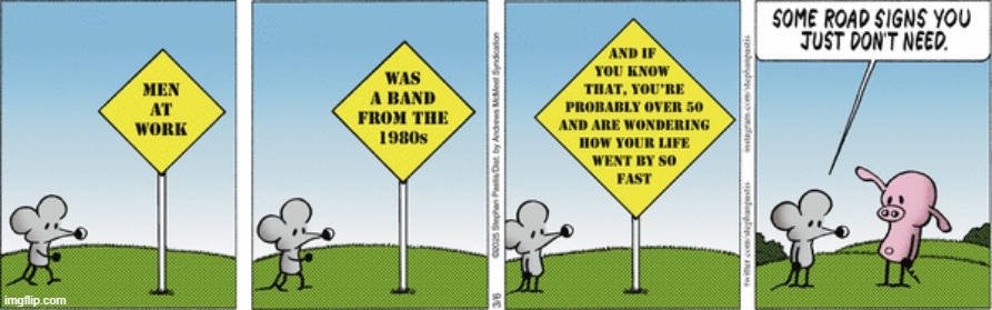 Pearls Before Swine | image tagged in comics | made w/ Imgflip meme maker