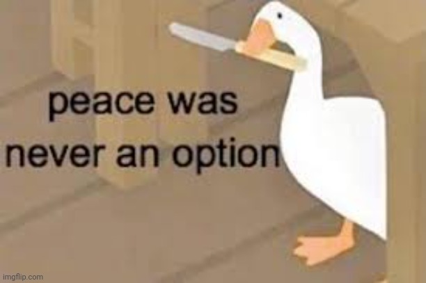 peace was never an option | image tagged in peace was never an option | made w/ Imgflip meme maker