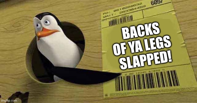 Penguin pointing at sign | BACKS OF YA LEGS 
SLAPPED! | image tagged in penguin pointing at sign | made w/ Imgflip meme maker