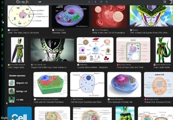 How perfect is your google search? | made w/ Imgflip meme maker