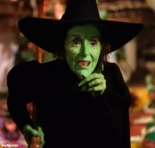 wicked witch Pelosi | image tagged in wicked witch pelosi | made w/ Imgflip meme maker