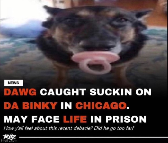 Dawg caught sucking on da binky may face life in prison | image tagged in dawg caught sucking on da binky may face life in prison | made w/ Imgflip meme maker