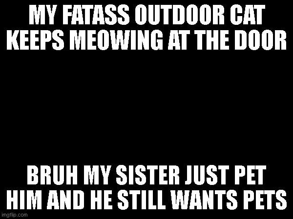 MY FATASS OUTDOOR CAT KEEPS MEOWING AT THE DOOR; BRUH MY SISTER JUST PET HIM AND HE STILL WANTS PETS | made w/ Imgflip meme maker
