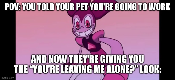 Event template. | POV: YOU TOLD YOUR PET YOU'RE GOING TO WORK; AND NOW THEY'RE GIVING YOU THE “YOU'RE LEAVING ME ALONE?” LOOK: | image tagged in spinel staring at you | made w/ Imgflip meme maker