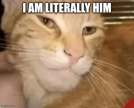 cat mewing | I AM LITERALLY HIM | image tagged in cat mewing | made w/ Imgflip meme maker