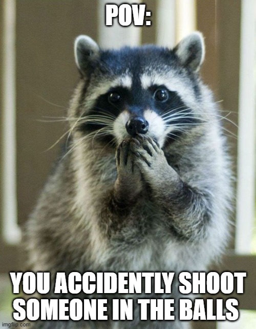 Ashamed Raccoon | POV:; YOU ACCIDENTLY SHOOT SOMEONE IN THE BALLS | image tagged in ashamed raccoon | made w/ Imgflip meme maker