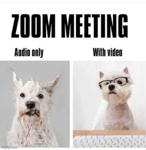 Relatable? | image tagged in zoom,meeting,look at me,best,looking,clean up | made w/ Imgflip meme maker