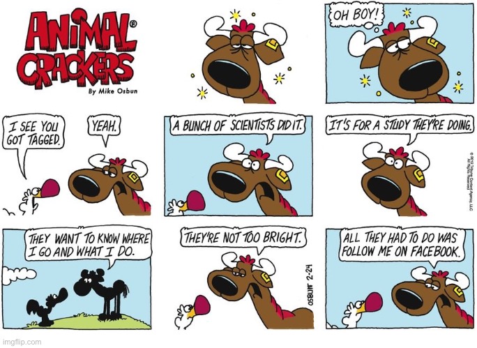 Animal Crackers | image tagged in comics | made w/ Imgflip meme maker