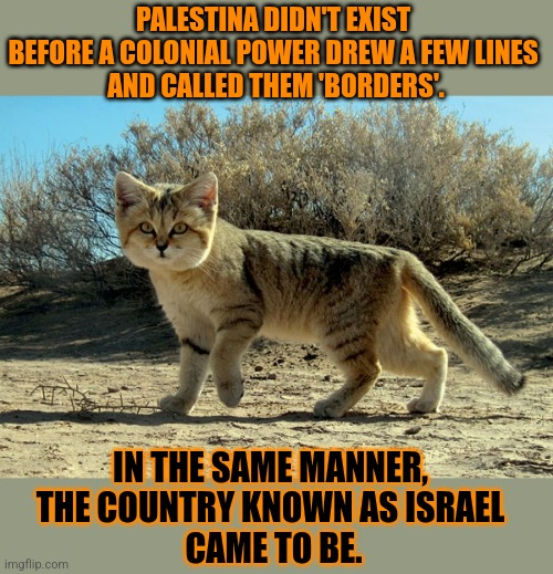 This #lolcat wonders which countries existed before borders were made up | PALESTINA DIDN'T EXIST 
BEFORE A COLONIAL POWER DREW A FEW LINES 
AND CALLED THEM 'BORDERS'. IN THE SAME MANNER, 
THE COUNTRY KNOWN AS ISRAEL 
CAME TO BE. | image tagged in open borders,lolcat,foreign,israel,zionism,palestine | made w/ Imgflip meme maker