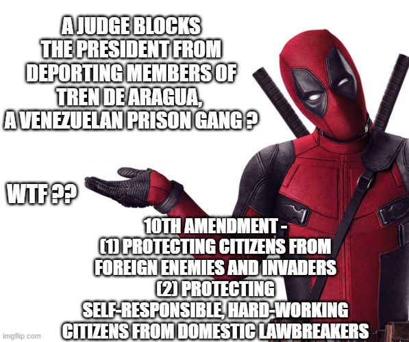 Screw that judge for harboring enemies | A JUDGE BLOCKS THE PRESIDENT FROM DEPORTING MEMBERS OF TREN DE ARAGUA, 
A VENEZUELAN PRISON GANG ? 10TH AMENDMENT -
(1) PROTECTING CITIZENS FROM FOREIGN ENEMIES AND INVADERS
(2) PROTECTING SELF-RESPONSIBLE, HARD-WORKING CITIZENS FROM DOMESTIC LAWBREAKERS; WTF ?? | image tagged in deadpool head tilt squint funny look question,leftists,soros,marxism,liberals,democrats | made w/ Imgflip meme maker