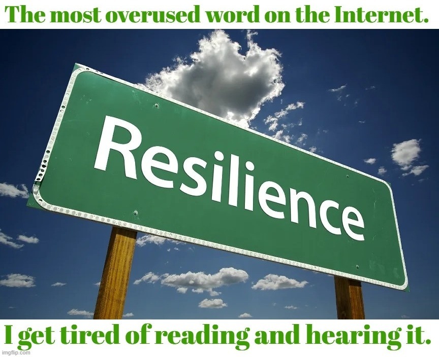 The most overused word on the Internet. | image tagged in resilience,overused,brainwashing,vain repetition,sustainability,globalism | made w/ Imgflip meme maker