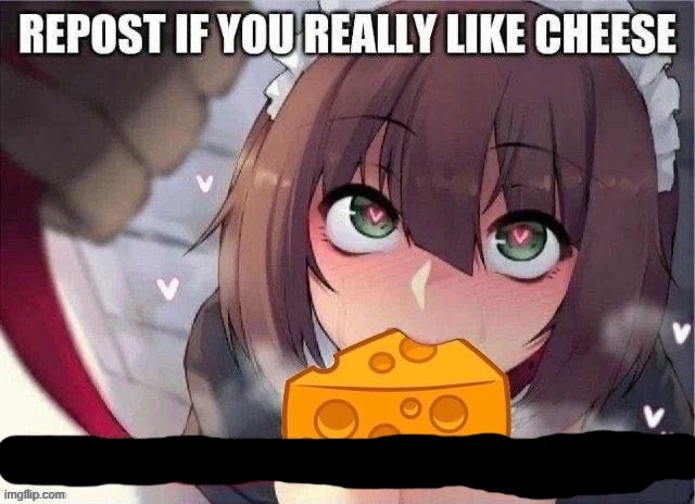 cheese for the homies | image tagged in repost,memes,shitpost,anime,cheese,msmg | made w/ Imgflip meme maker