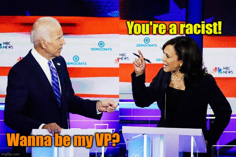 You're a racist! Wanna be my VP? | made w/ Imgflip meme maker