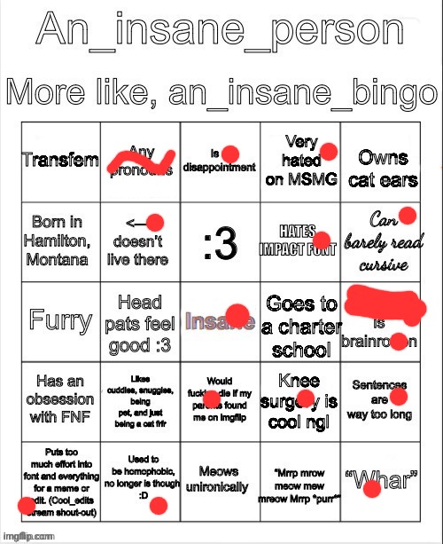 An insane bingo (new years day 2025) | image tagged in an insane bingo new years day 2025 | made w/ Imgflip meme maker