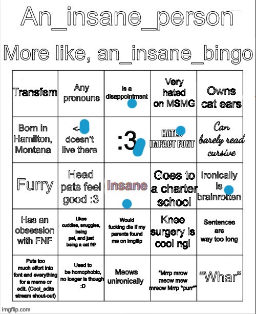 An insane bingo (new years day 2025) | image tagged in an insane bingo new years day 2025 | made w/ Imgflip meme maker