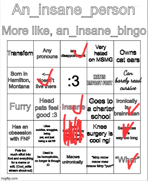 An insane bingo (new years day 2025) | image tagged in an insane bingo new years day 2025 | made w/ Imgflip meme maker