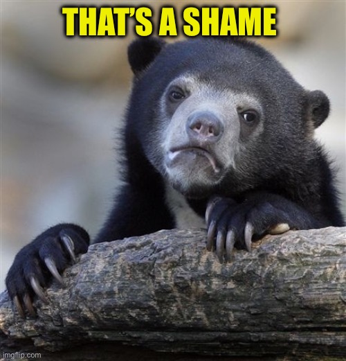 THAT’S A SHAME | image tagged in memes,confession bear | made w/ Imgflip meme maker