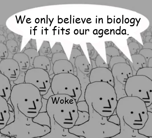 Rules for Wokeness | We only believe in biology 
if it fits our agenda. Woke | image tagged in leftists,good soldiers follow orders,woke,rules,radical,biology | made w/ Imgflip meme maker