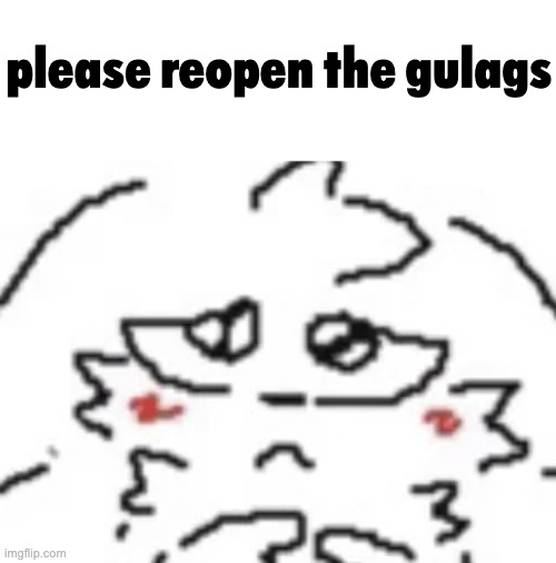 e | please reopen the gulags | image tagged in boykisser | made w/ Imgflip meme maker