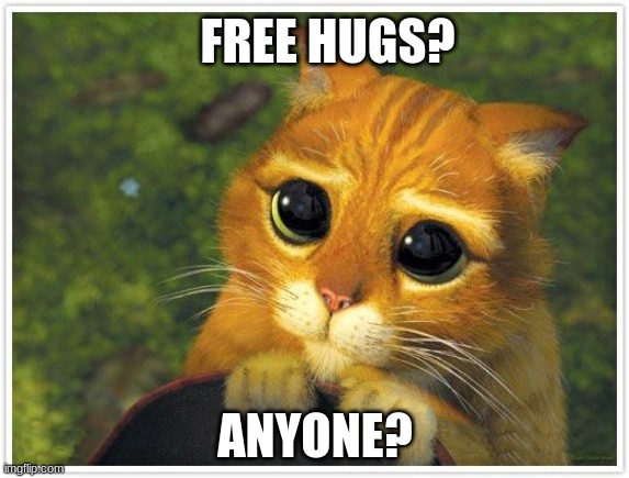 anyone want hugs? | FREE HUGS? ANYONE? | image tagged in memes,shrek cat,hugs,free hugs,hug,anyone | made w/ Imgflip meme maker