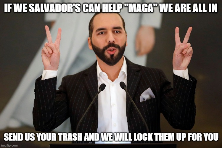 Yes, I paraphrased President Bukele | IF WE SALVADOR'S CAN HELP "MAGA" WE ARE ALL IN; SEND US YOUR TRASH AND WE WILL LOCK THEM UP FOR YOU | image tagged in el salvador president nayib bukele,thank you el salvador,democrat war on america,tren de aragua,ms 13,maga | made w/ Imgflip meme maker