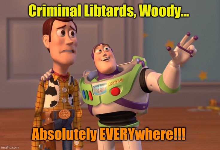 X, X Everywhere Meme | Criminal Libtards, Woody... Absolutely EVERYwhere!!! | image tagged in memes,x x everywhere | made w/ Imgflip meme maker